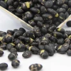 Đậu Đen Xanh Lòng Sấy Tự Nhiên Hạt To Giòn 1kg - Ăn Vặt Giảm Cân Tốt 5