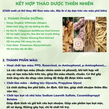 Dầu gội phủ bạc chính hãng SACO 400ml dạng lược, thành phần thiên nhiên, nhuộm tóc đen chỉ 15 phút