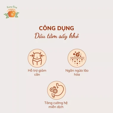 Dâu Tằm Sấy Khô Nguyên Chất HƯƠNG RỪNG 1kg Giá Rẻ 13333đ 5