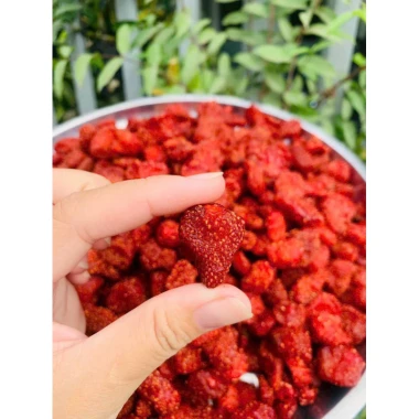 Dâu Tây Sấy Dẻo 500gr Giá Rẻ - Tiết Kiệm 23% Chỉ 35280đ Túi Lớn 5