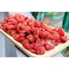 Dâu Tây Sấy Dẻo 500gr Giá Rẻ - Tiết Kiệm 23% Chỉ 35280đ Túi Lớn 7