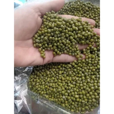 Đậu xanh nguyên hạt 1kg - Dễ nấu nhanh mềm, giảm giá, giá ưu đãi 58.000 2 Đậu xanh nguyên hạt 1kg - Dễ nấu nhanh mềm, giảm giá, giá ưu đãi 58.000 2