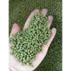 Đậu xanh nguyên hạt 1kg - Dễ nấu nhanh mềm, giảm giá, giá ưu đãi 58.000 4