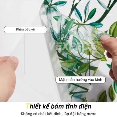 Decal Dán Kính Cầu Vồng Chống Nhìn Trộm, Miếng Dán Kính Không Dính Giá Rẻ 5 Decal Dán Kính Cầu Vồng Chống Nhìn Trộm, Miếng Dán Kính Không Dính Giá Rẻ 5