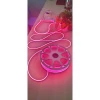 Đèn LED Neon 12V 50m Cuộn Quảng Cáo Trang Trí Giá Rẻ - Chưa Bao Gồm Nguồn 6