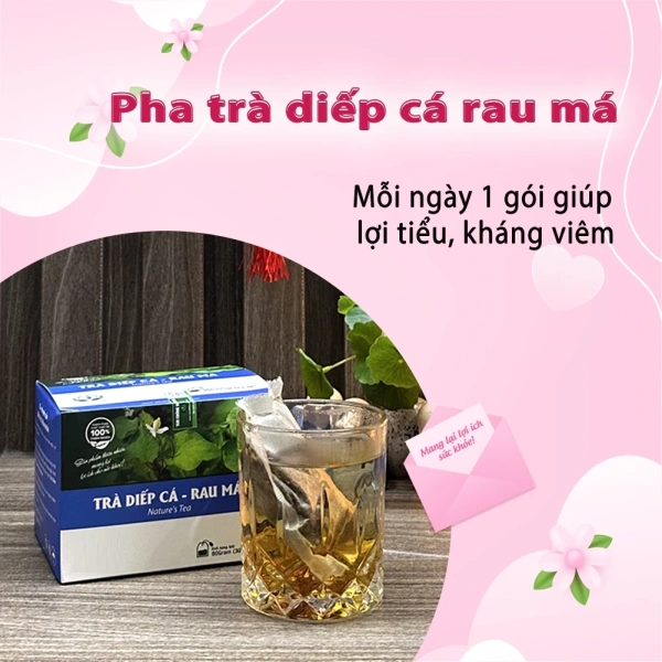 Cách pha trà Diếp Cá Rau Má chuẩn vị – Hướng dẫn chi tiết cho người mới