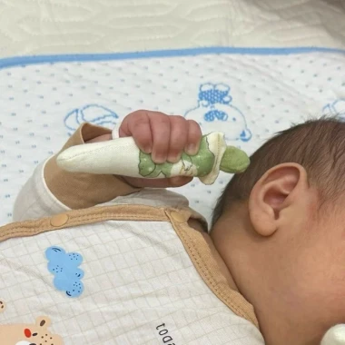 Đồ Chơi Cầm Tay Củ Cà Rốt Nhồi Bông Muslin Chống Giật Mình Cho Bé Giá Chỉ 29k 10