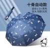 Dù Che Mưa Nắng Tự Động Chống Tia Cực Tím Hoạt Hình Dễ Thương Cho Nữ - Giảm Giá 184801đ 20