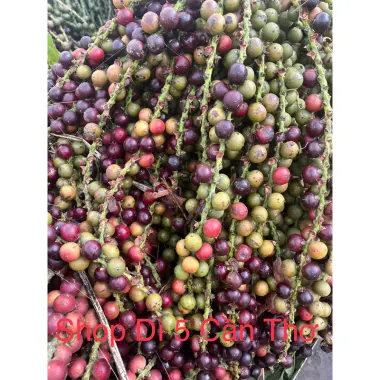 Đủng đỉnh phơi khô 1kg giá rẻ chỉ 120k - Món ăn vặt khô chất lượng cao cấp 2 Đủng đỉnh phơi khô 1kg giá rẻ chỉ 120k - Món ăn vặt khô chất lượng cao cấp 2