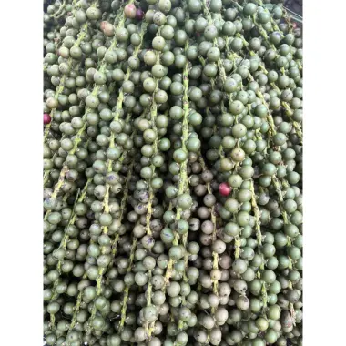 Đủng đỉnh phơi khô 1kg giá rẻ chỉ 120k - Món ăn vặt khô chất lượng cao cấp 4 Đủng đỉnh phơi khô 1kg giá rẻ chỉ 120k - Món ăn vặt khô chất lượng cao cấp 4