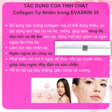 Evaskin 35 - Bổ Sung Collagen, Estrogen, Đẹp Da, Tăng Tính Đàn Hồi, Chống Lão Hóa, Sáng Da, (Hộp 30 Viên)[CHÍNH HÃNG] 3
