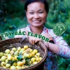 Giấm Táo Mèo Hữu Cơ Mù Cang - Giảm Cân Hiệu Quả, Tốt Cho Sức Khỏe chỉ 39500đ 3