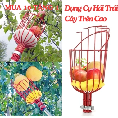 Giỏ Hái Trái Cây Trên Cao OKSEP Xốp Lót Bảo Vệ Không Cần Cán 79.000đ Giỏ Hái Trái Cây Trên Cao OKSEP Xốp Lót Bảo Vệ Không Cần Cán 79.000đ