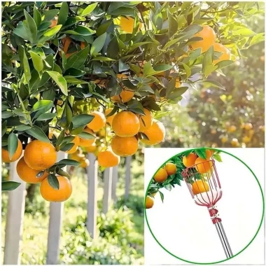 Giỏ Hái Trái Cây Trên Cao OKSEP Xốp Lót Bảo Vệ Không Cần Cán 79.000đ