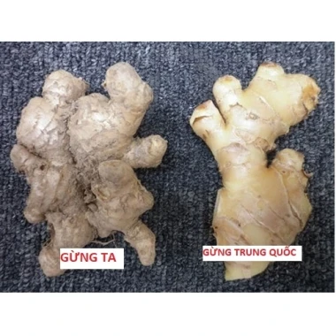 Gừng Ta Lòng Vàng Hà Giang 1KG - Nông Sản Sạch, Tươi Ngon, Giá Chỉ 48500đ 4