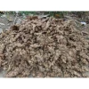 Gừng Ta Lòng Vàng Hà Giang 1KG - Nông Sản Sạch, Tươi Ngon, Giá Chỉ 48500đ 6