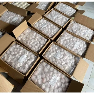 Há Cảo Tôm Hi-Foods 880g 40 Viên Giảm Giá CỰC SỐC Chỉ 168k Giao Ngay 4 Há Cảo Tôm Hi-Foods 880g 40 Viên Giảm Giá CỰC SỐC Chỉ 168k Giao Ngay 4