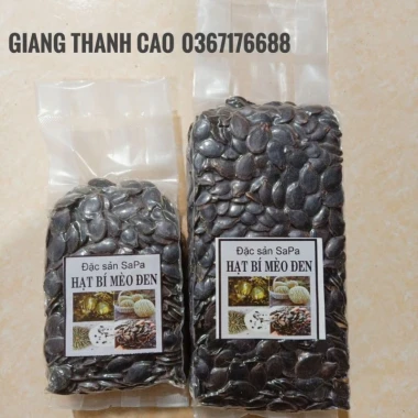 HẠT BÍ MÈO ĐEN - ĐẶC SẢN SAPA 2 HẠT BÍ MÈO ĐEN - ĐẶC SẢN SAPA 2