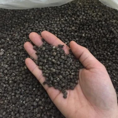 Hạt Chuối Hột Rừng Khô 1kg - Giảm Giá Còn 30.000đ, Mua Ngay Tiết Kiệm 3 Hạt Chuối Hột Rừng Khô 1kg - Giảm Giá Còn 30.000đ, Mua Ngay Tiết Kiệm 3