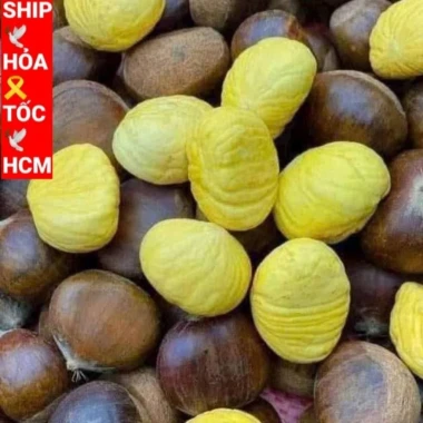 Hạt Dẻ Tươi Ngon Đặc Sản Sapa 3kg - Lựa Kĩ Bao No Size Vip Giá Rẻ 2