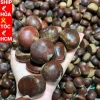 Hạt Dẻ Tươi Ngon Đặc Sản Sapa 3kg - Lựa Kĩ Bao No Size Vip Giá Rẻ 5