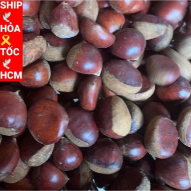 Hạt Dẻ Tươi Sapa Size Vip 3kg - Đặc Sản Ngon Mới - Giảm Giá Chỉ 69000đ 7 Hạt Dẻ Tươi Sapa Size Vip 3kg - Đặc Sản Ngon Mới - Giảm Giá Chỉ 69000đ 7