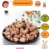 Hạt điều rang muối hạt lớn loại 1, giòn rụm không sâu, ưu đãi 135.600 VNĐ 1KG 2