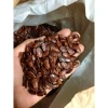 Hạt Dưa Hồng Ký 500g Lon Pet – Thức ăn bổ dưỡng, thơm ngon cho thú cưng, ưu đãi 109.000 VND