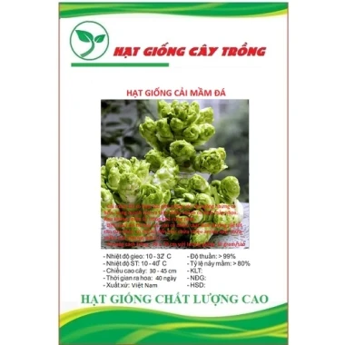 Hạt giống Cải Mầm Đá Sapa CT339 20 hạt giá rẻ chỉ 12500đ - Gieo dễ lớn 2 Hạt giống Cải Mầm Đá Sapa CT339 20 hạt giá rẻ chỉ 12500đ - Gieo dễ lớn 2