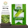 Hạt giống Cần Tây Bẹ To Giant Celery 326 (2g~1.000 hạt) dùng ép nước, dễ chăm sóc - Rado Farm | F25