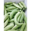 Hạt giống Dưa gang xanh - Muối chua xổi, nấu rất ngon, giá chỉ 30.000