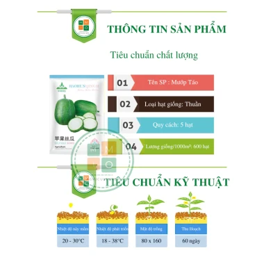 Hạt giống mướp táo ĐL siêu trái - thơm ngon, tròn đẹp, chỉ 29.900 đồng 2 Hạt giống mướp táo ĐL siêu trái - thơm ngon, tròn đẹp, chỉ 29.900 đồng 2