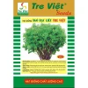 Hạt Giống Ngò Bạc Liêu Tre Việt Mùi Thơm - Kháng Bệnh Tốt Giá Xỉu Chỉ 5000đ 2