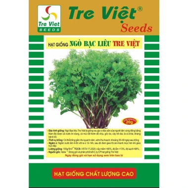 Hạt Giống Ngò Bạc Liêu Tre Việt Mùi Thơm - Kháng Bệnh Tốt Giá Xỉu Chỉ 5000đ 3