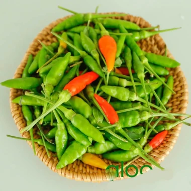 Hạt Giống Ớt Xiêm Cao Sản Giá Rẻ 15999đ - 60-70 Hạt - Mua Ngay 2