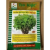 Hạt Giống Rau Ngò Bạc Liêu Tre Việt Gói 20g Giá Rẻ - Mùi Ta Chất Lượng 2