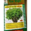 Hạt Giống Rau Ngò Bạc Liêu Tre Việt Gói 20g Giá Rẻ - Mùi Ta Chất Lượng 3