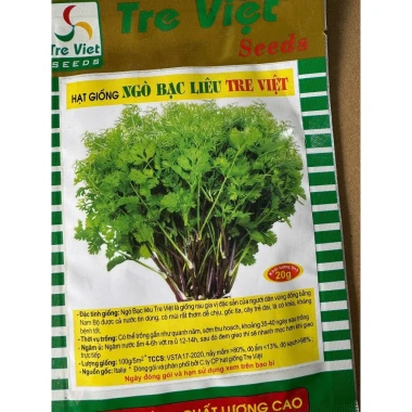 Hạt Giống Rau Ngò Bạc Liêu Tre Việt Gói 20g Giá Rẻ - Mùi Ta Chất Lượng 3 Hạt Giống Rau Ngò Bạc Liêu Tre Việt Gói 20g Giá Rẻ - Mùi Ta Chất Lượng 3
