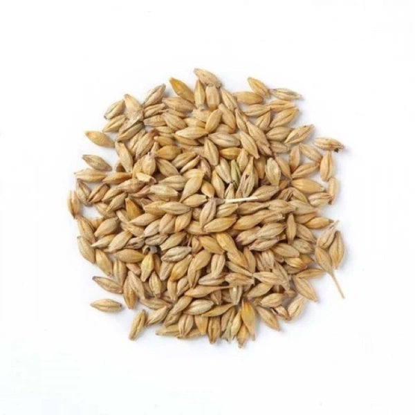Hình ảnh sản phẩm Hạt Lúa Mạch Nguyên Vỏ 2kg - Đa Công Dụng, Giá Ưu Đãi 54.500₫ (68.670)