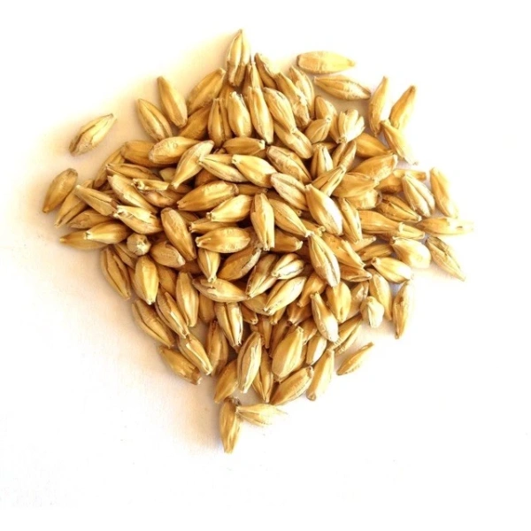 Hình ảnh sản phẩm Hạt Lúa Mạch Nguyên Vỏ 2kg - Đa Công Dụng, Giá Ưu Đãi 54.500₫ (68.670)