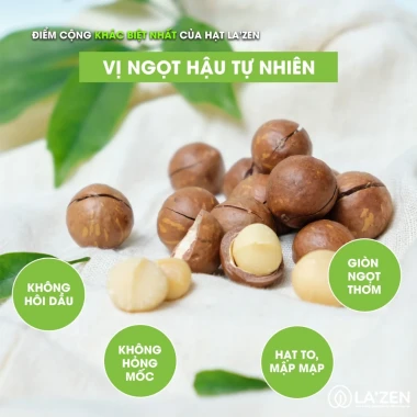 Hạt Macca ăn tết, sấy nứt vỏ, SẠCH, Đăk Lăk 250gr/500gr LOẠI 1 VỤ MỚI đạt VSATTP La'zen