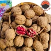 Hạt óc chó đỏ Mỹ nguyên vỏ (500g, 1kg), hạt quả óc chó hữu cơ loại 1 chưa tách vỏ, nhân óc chó đỏ mỹ, vàng làm sữa hạt