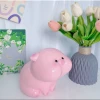 Heo Đất Ống Heo Tiết Kiệm Phúng Phĩnh Thạch Cao Nguyên - Phủ Bóng KT Giá Ưu Đãi 2