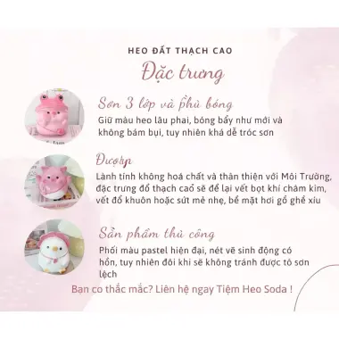 Heo Đất Tiết Kiệm Sinh Nhật HEO PARTY C19xD15xR13 Giá Rẻ 55k Tiệm Heo Soda 5