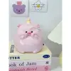 Heo Đất Tiết Kiệm Sinh Nhật HEO PARTY C19xD15xR13 Giá Rẻ 55k Tiệm Heo Soda 17