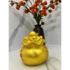 Heo Đất Tiết Kiệm Túi Hũ Vàng Tài Lộc Nhỏ Màu Vàng Đồng Quà Tặng và Ống Đựng Tiền 3