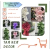 Hoa Giấy Khổng Lồ Decor Đám Cưới, Tiệc - Giảm 19% Chỉ 330k 2