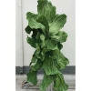 Hoa Giấy Khổng Lồ Decor Đám Cưới, Tiệc - Giảm 19% Chỉ 330k 6