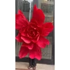 Hoa Giấy Khổng Lồ Decor Đám Cưới, Tiệc - Giảm 19% Chỉ 330k 8