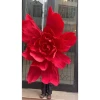 Hoa Giấy Khổng Lồ Decor Đám Cưới, Tiệc - Giảm 19% Chỉ 330k 10